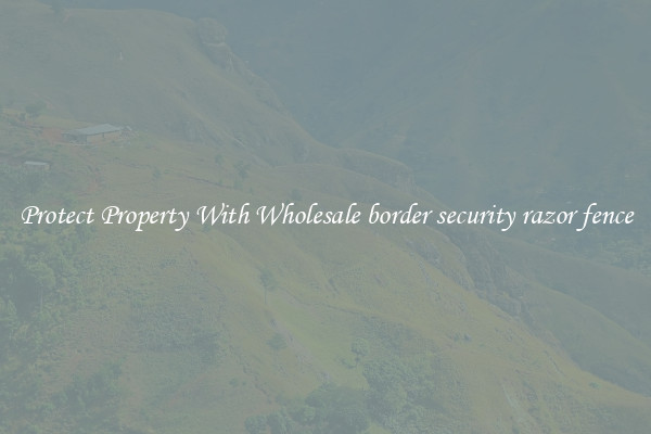 Protect Property With Wholesale border security razor fence