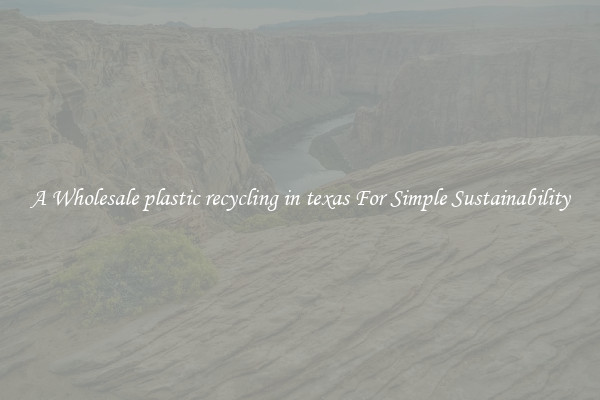  A Wholesale plastic recycling in texas For Simple Sustainability 