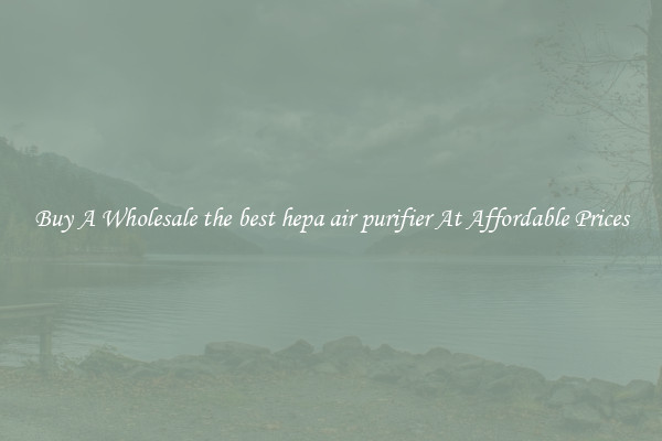 Buy A Wholesale the best hepa air purifier At Affordable Prices