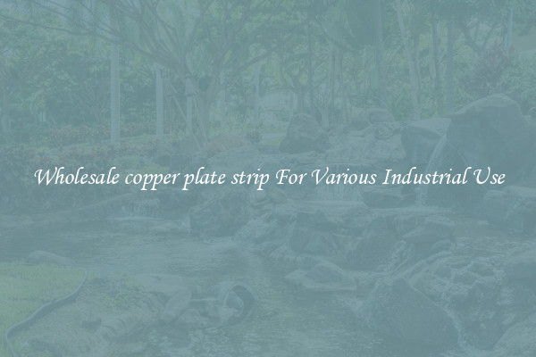 Wholesale copper plate strip For Various Industrial Use