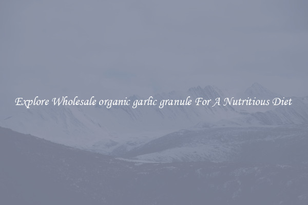 Explore Wholesale organic garlic granule For A Nutritious Diet 
