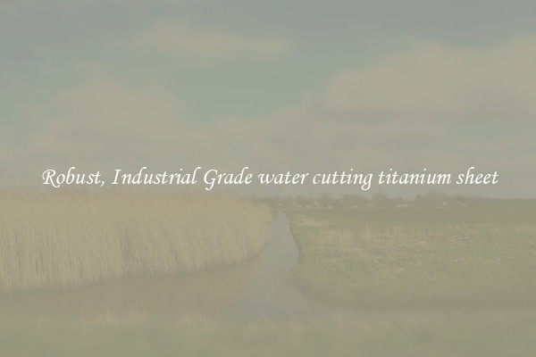 Robust, Industrial Grade water cutting titanium sheet