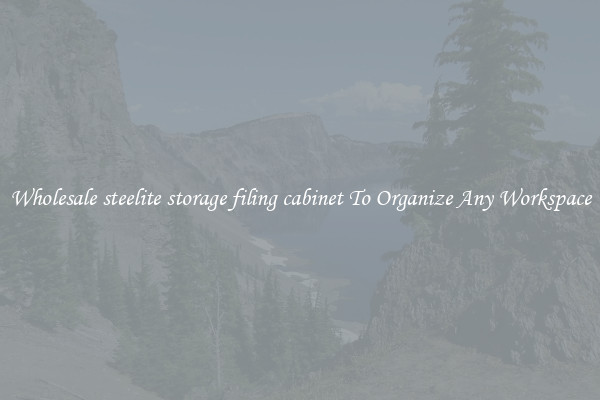 Wholesale steelite storage filing cabinet To Organize Any Workspace