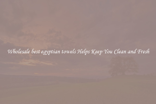Wholesale best egyptian towels Helps Keep You Clean and Fresh