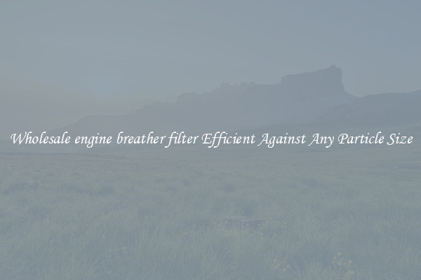 Wholesale engine breather filter Efficient Against Any Particle Size