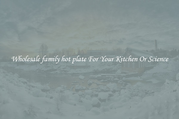 Wholesale family hot plate For Your Kitchen Or Science