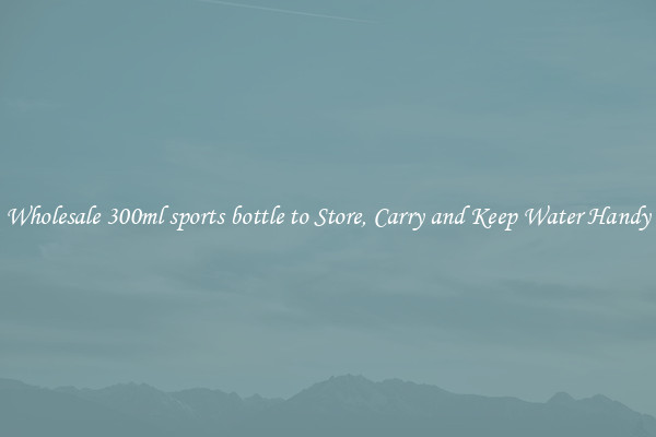 Wholesale 300ml sports bottle to Store, Carry and Keep Water Handy