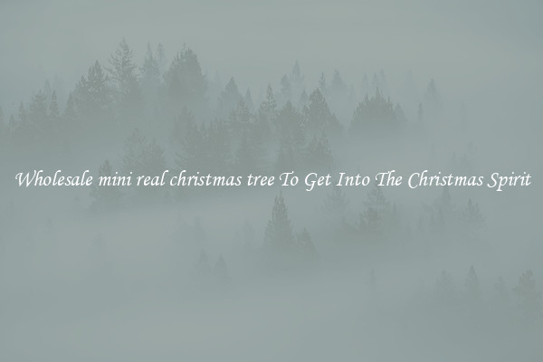 Wholesale mini real christmas tree To Get Into The Christmas Spirit