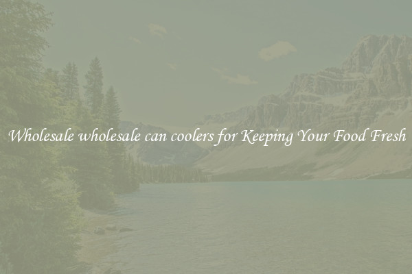 Wholesale wholesale can coolers for Keeping Your Food Fresh