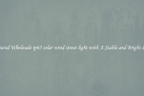 Featured Wholesale ip65 solar wind street light with A Stable and Bright Light