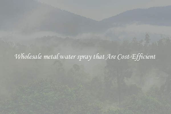 Wholesale metal water spray that Are Cost-Efficient 