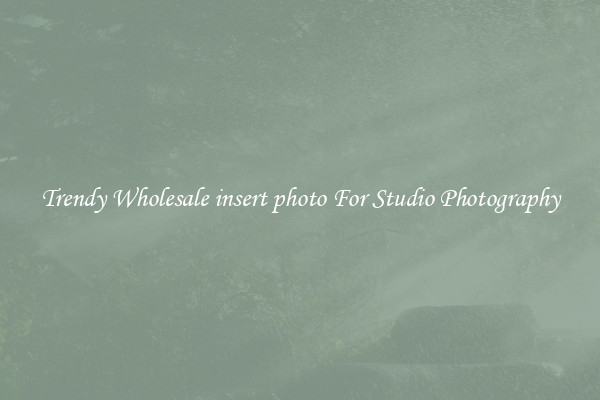 Trendy Wholesale insert photo For Studio Photography