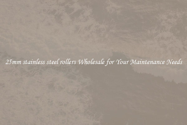 25mm stainless steel rollers Wholesale for Your Maintenance Needs