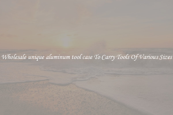Wholesale unique aluminum tool case To Carry Tools Of Various Sizes
