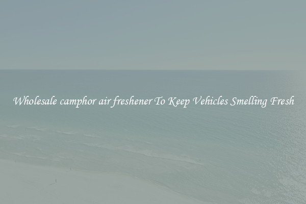 Wholesale camphor air freshener To Keep Vehicles Smelling Fresh