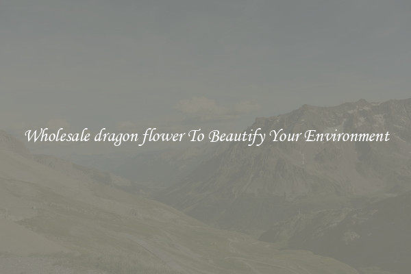 Wholesale dragon flower To Beautify Your Environment