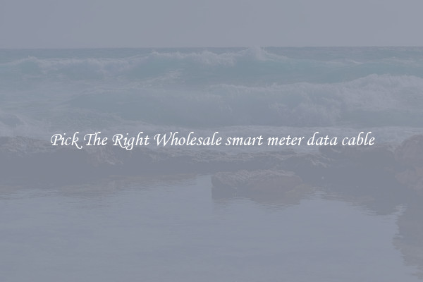 Pick The Right Wholesale smart meter data cable