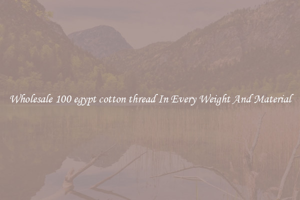 Wholesale 100 egypt cotton thread In Every Weight And Material