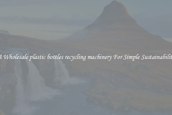  A Wholesale plastic bottles recycling machinery For Simple Sustainability 