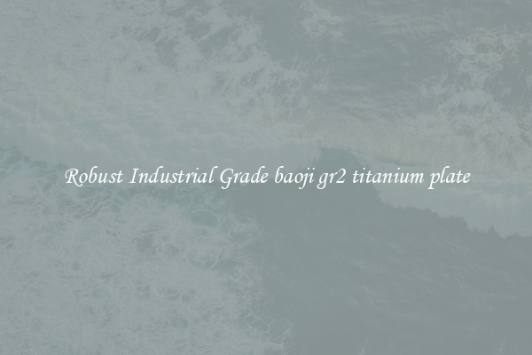 Robust Industrial Grade baoji gr2 titanium plate