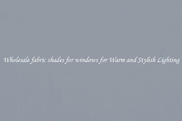 Wholesale fabric shades for windows for Warm and Stylish Lighting
