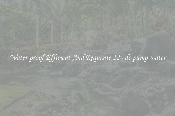 Water-proof Efficient And Requisite 12v dc pump water