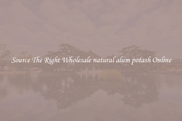 Source The Right Wholesale natural alum potash Online
