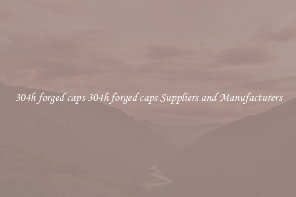 304h forged caps 304h forged caps Suppliers and Manufacturers