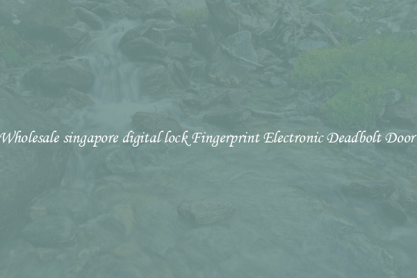 Wholesale singapore digital lock Fingerprint Electronic Deadbolt Door 